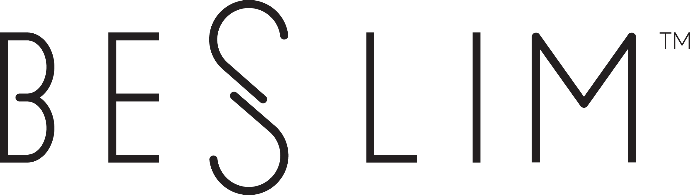 BESLIM Logo